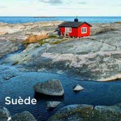 SUEDE