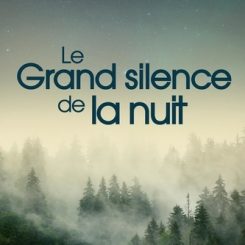 LE GRAND SILENCE DE LA NUIT