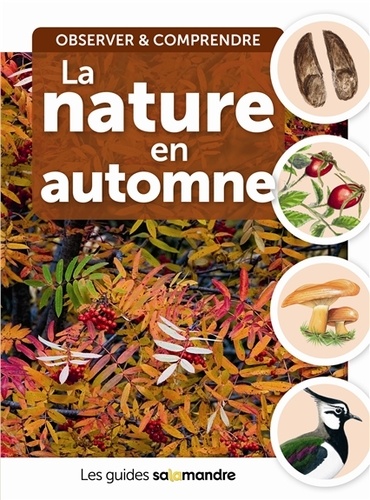 LA NATURE EN AUTOMNE