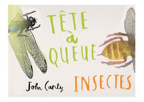 TETE A QUEUE - INSECTES