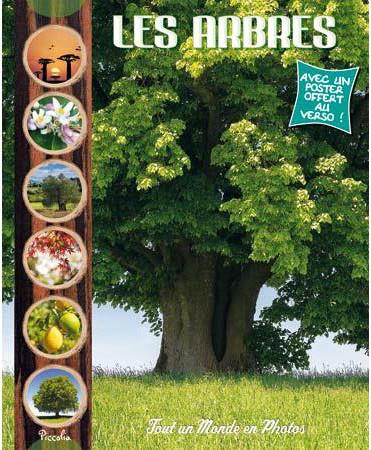 LES ARBRES