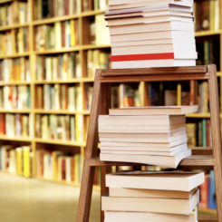 LIVRE NEUF