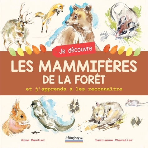 LES MAMMIFERES DE LA FORET