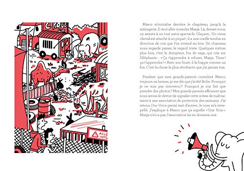 LES DROITS DES ANIMAUX - 4 HISTOIRES POUR LA PROTECTION DE TOUS – Image 2