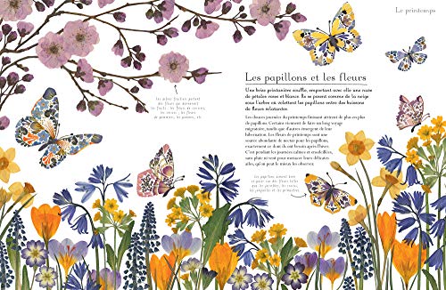 LES MERVEILLES DE LA NATURE – Image 2
