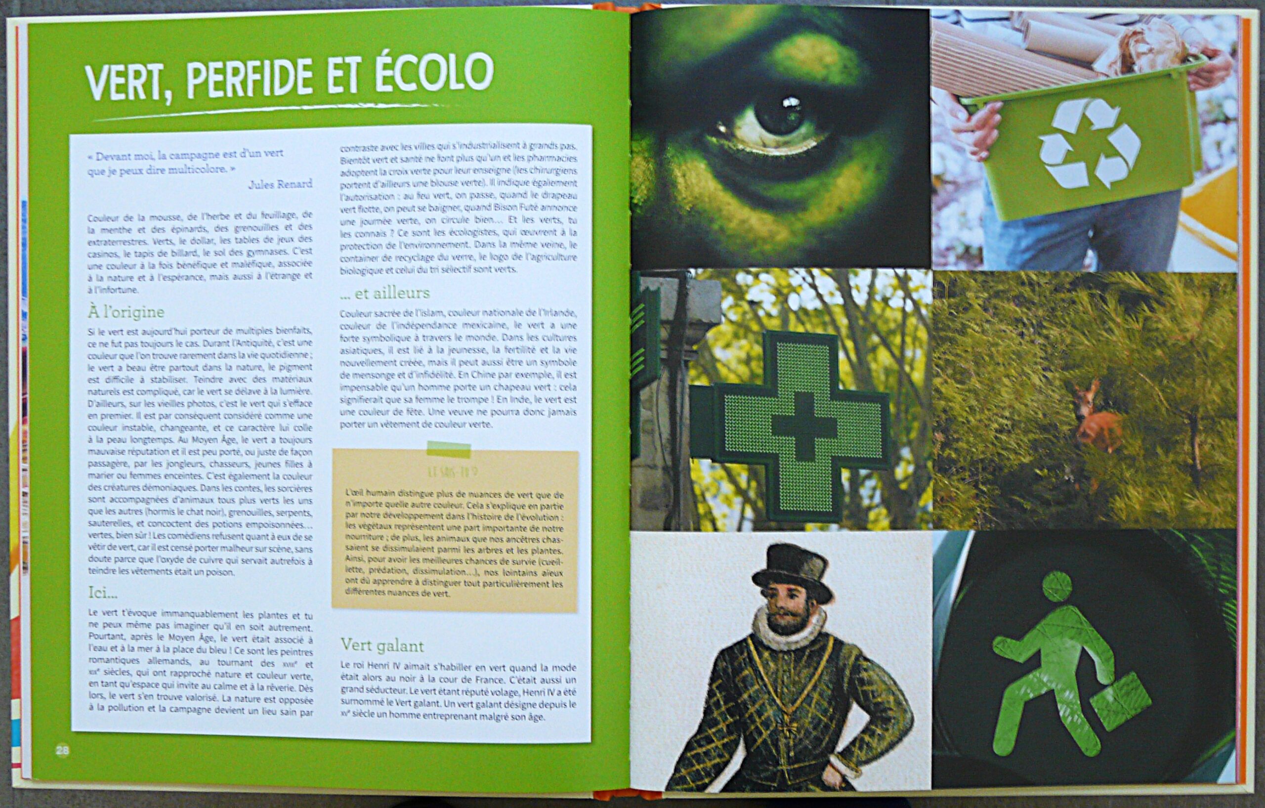 LE MONDE DES COULEURS – Image 3