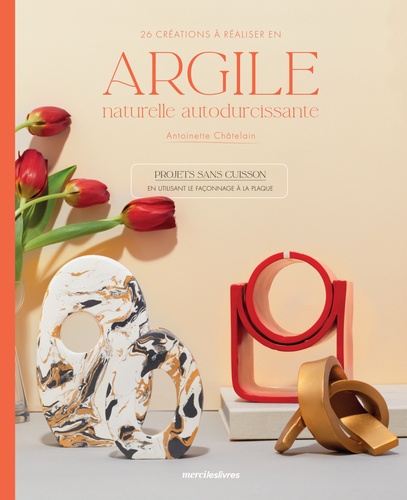 26 CREATIONS REALISER ARGILE NATURELLE AUTODURCISSANTE