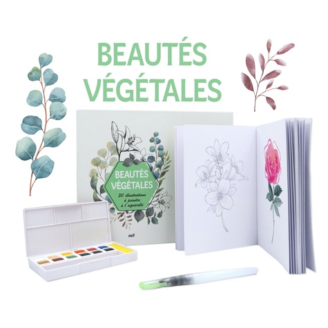 BEAUTES VEGETALES - 30 ILLUSTRATIONS A PEINDRE A L'AQUARELLE