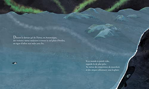 ICEBERG – Image 2