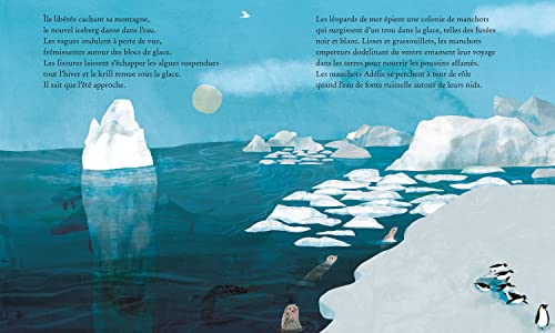 ICEBERG – Image 3