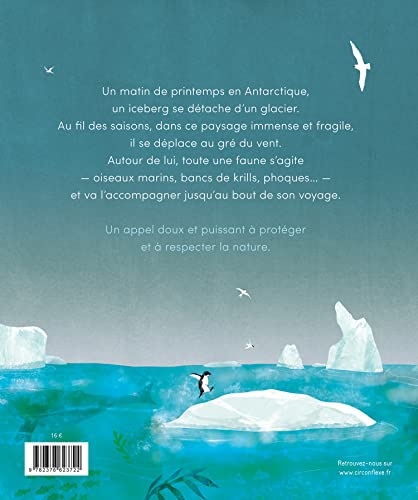 ICEBERG – Image 4