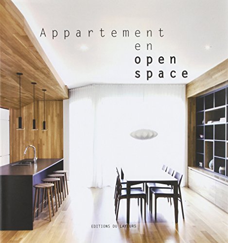 APPARTEMENT EN OPEN SPACE